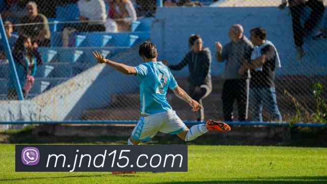 登录器 登录器